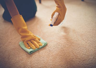 Carpet Cleaning Company
